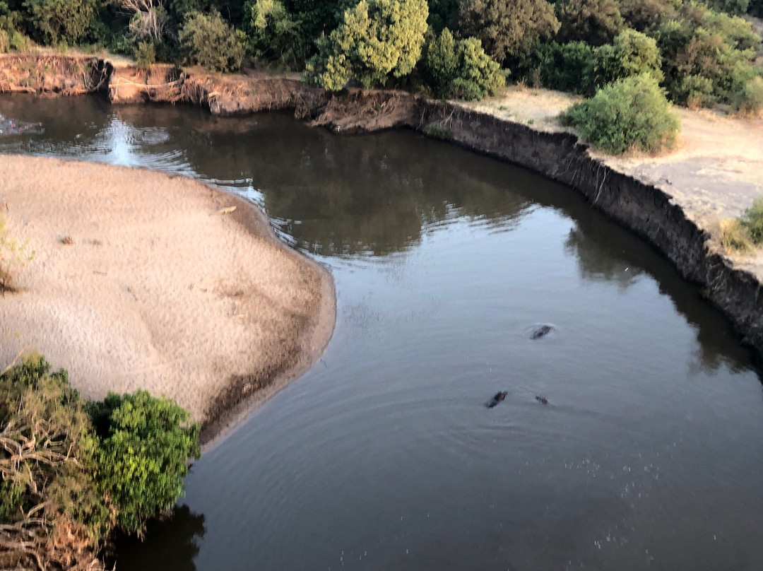 Serengeti Balloon Safaris-鲁阿哈国家公园必去景点