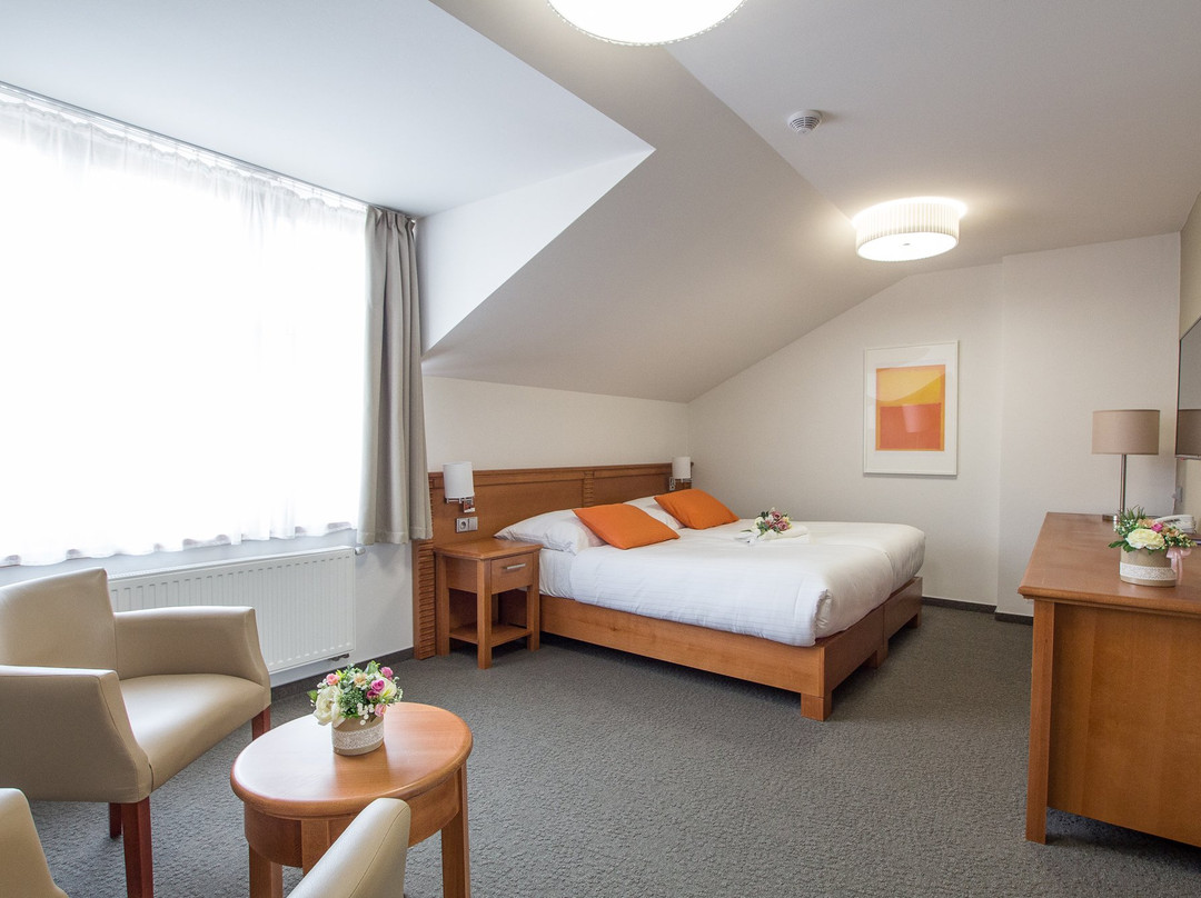 Hotel Pod Vezi主图