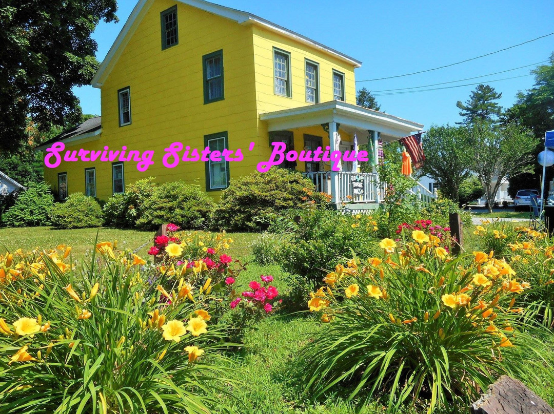 Surviving Sisters' Boutique-海德公园必去景点