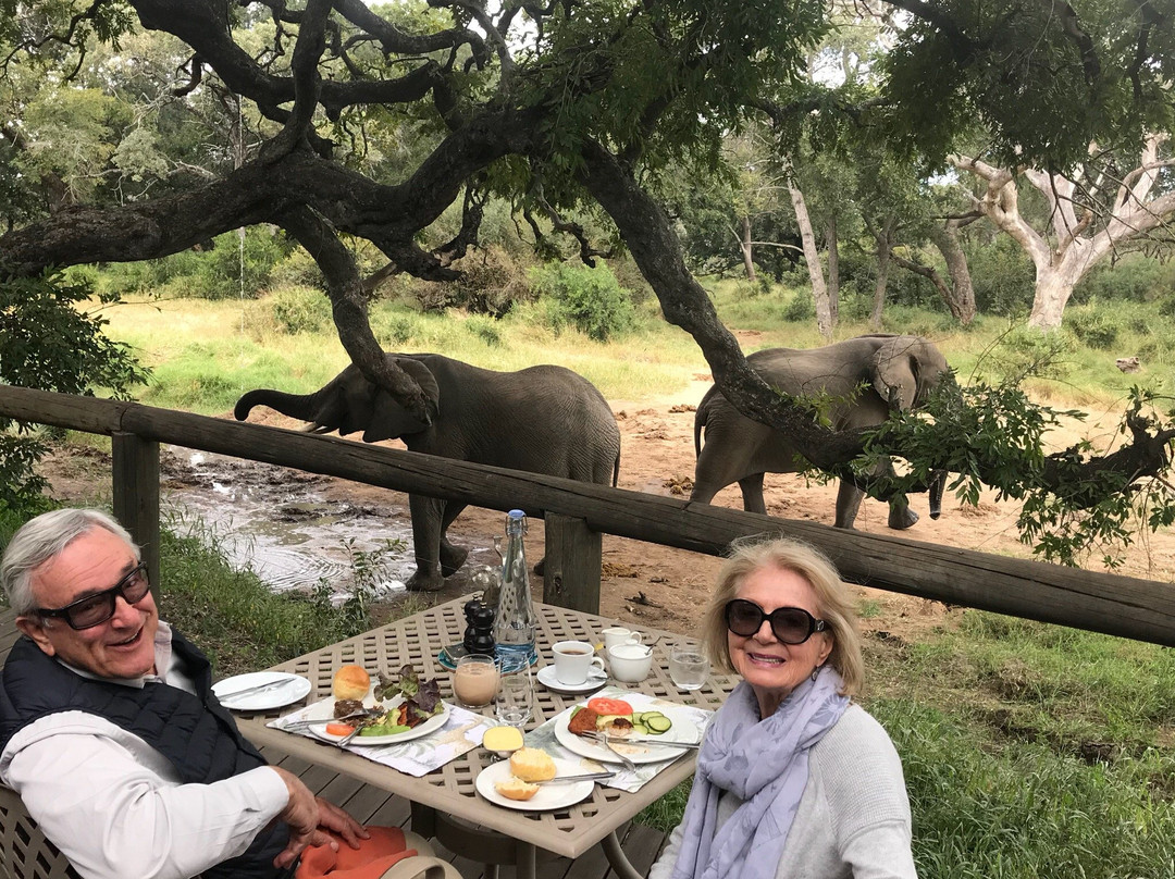丁斯瓦洛野生动物园主图