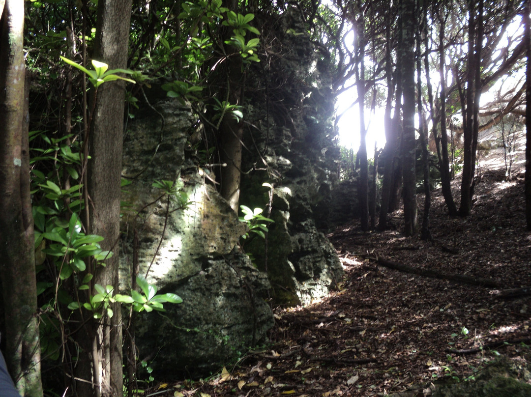 Henga Scenic Reserve景点图片