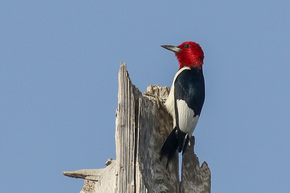 Riverbend Outfitters-Jefferson必去景点