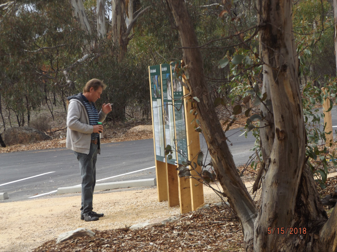 Para Wirra Recreation Park景点图片