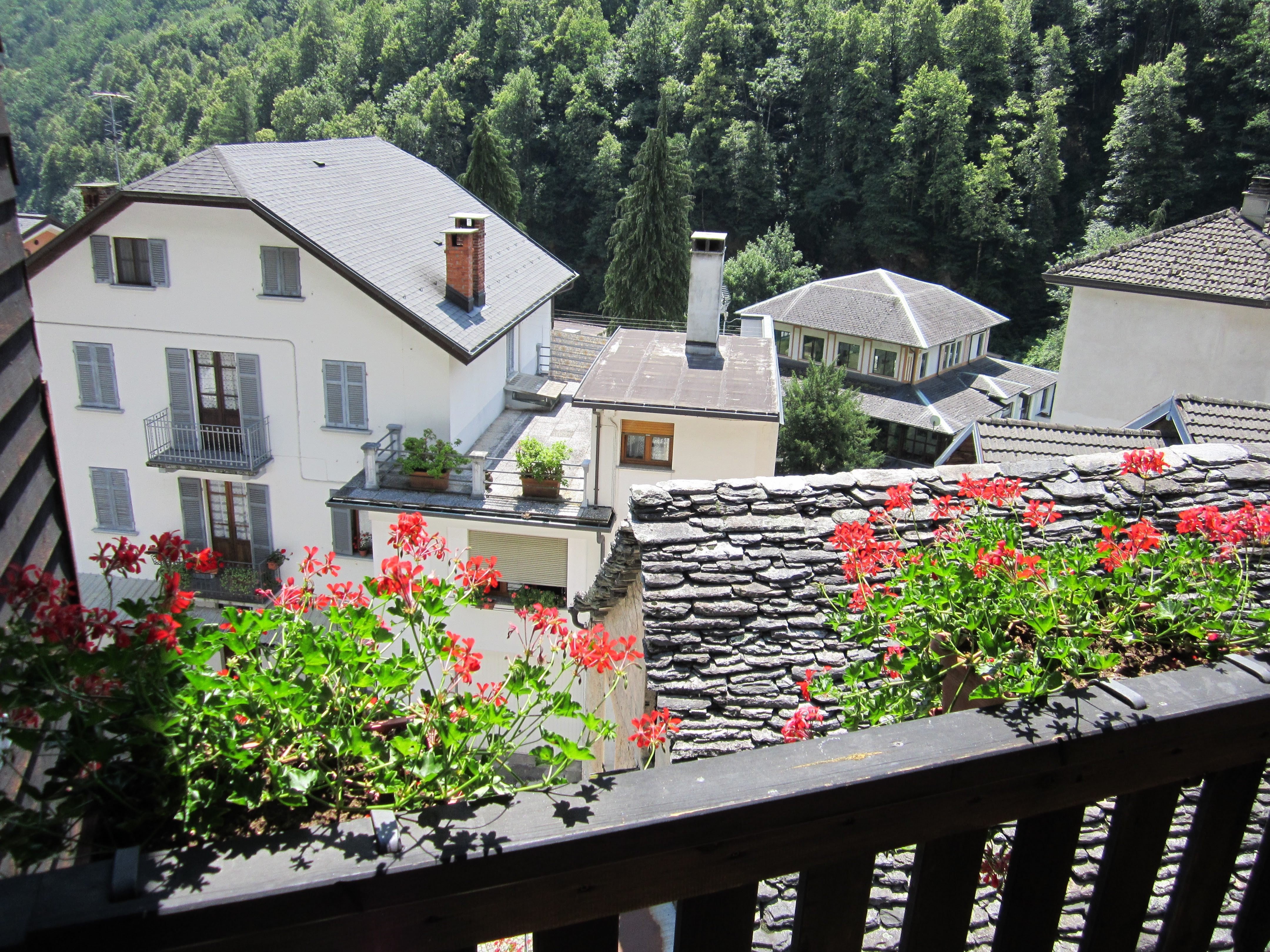 Hotel Edelweiss-酒店景观