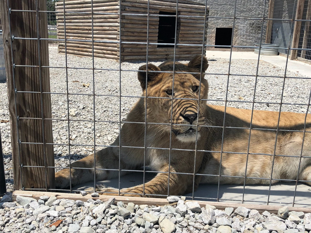 Wildlife In Need, Inc.-Charlestown必去景点