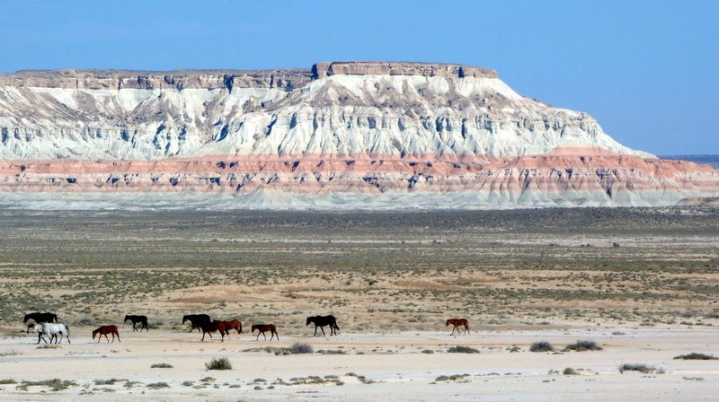 Yangykala Canyon-巴尔坎纳巴德必去景点
