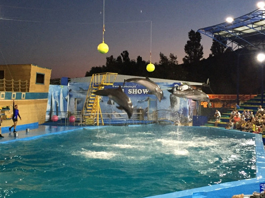 Novorossiysk Dolphinarium Sea Life-Novorossiysk必去景点