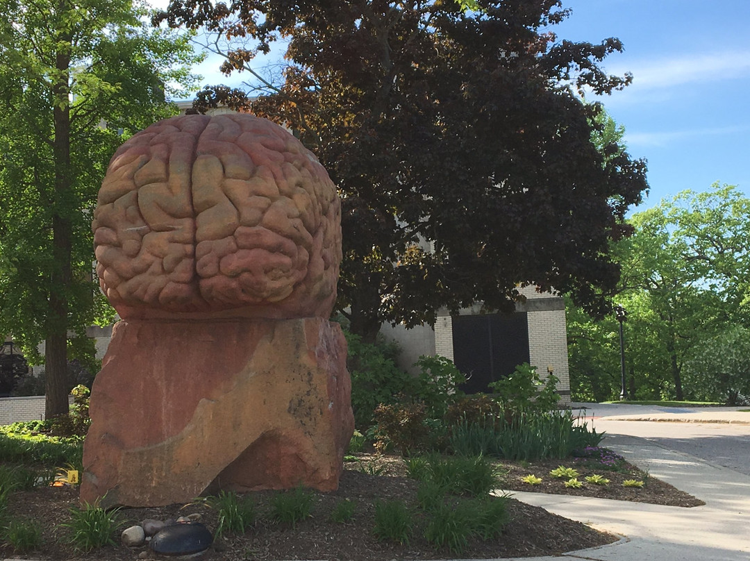 Kent State University景点图片