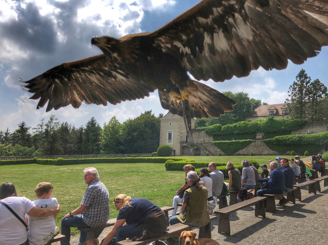 Schlossgasthof Rosenburg主图