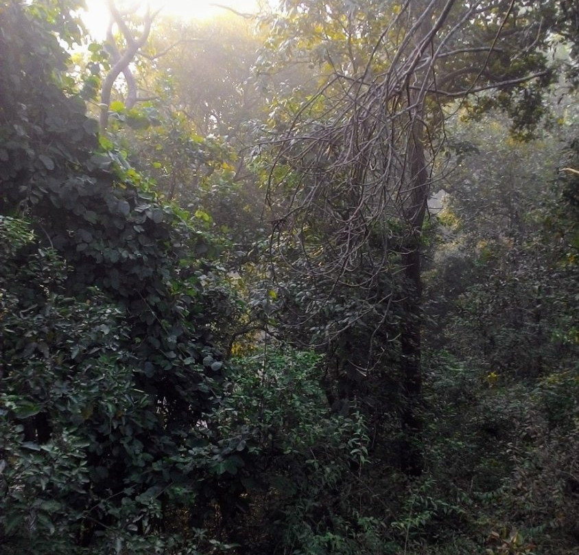 Simbalbara Wildlife Sanctuary景点图片