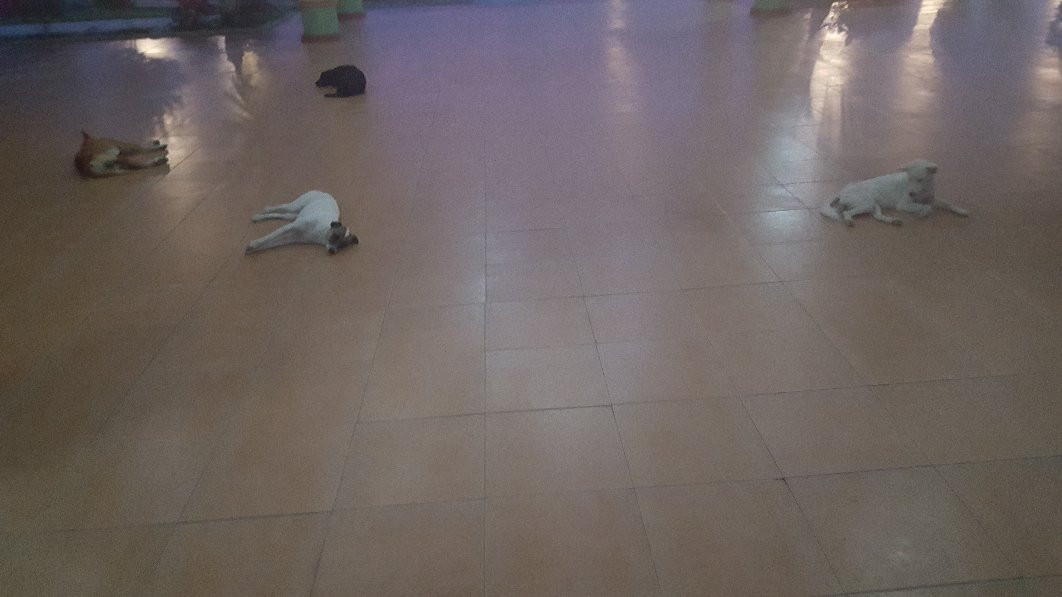 Abatan RiverLife Tour-Cortes必去景点