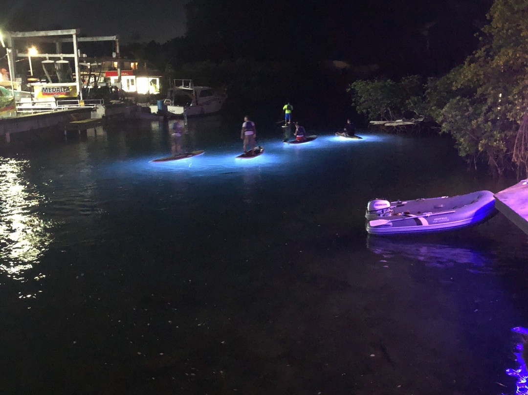 Bright Paddle-库莱布拉岛必去景点