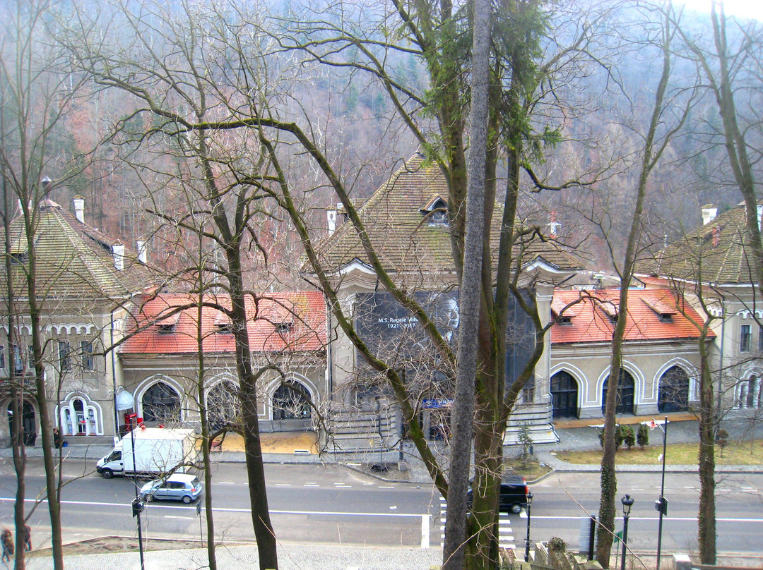 Sinaia Railway Station景点图片