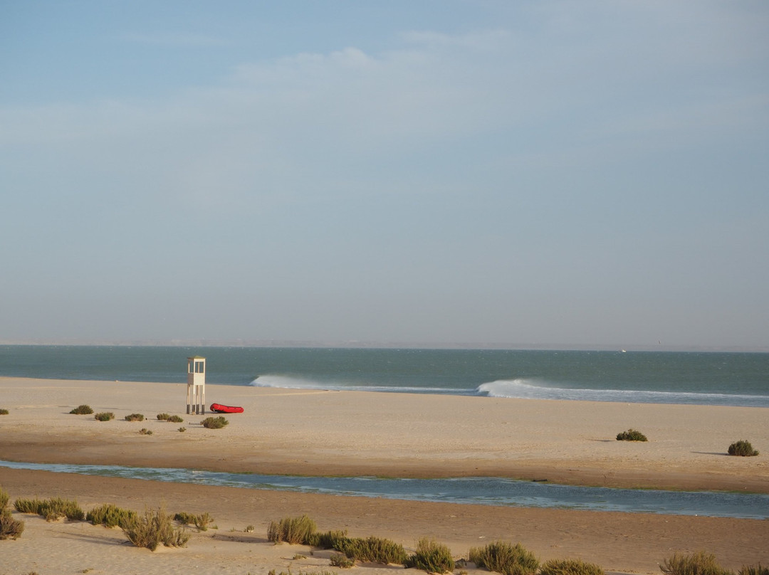 Ocean Vagabond Lassarga主图