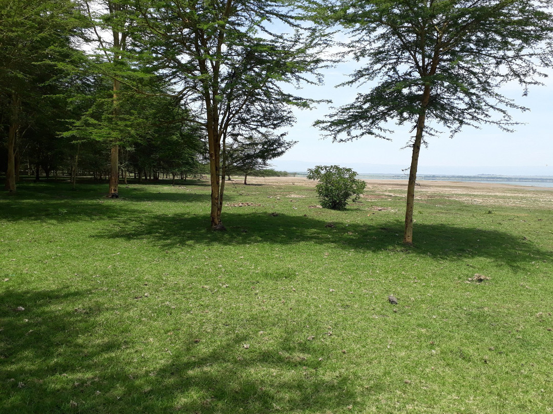 Sirville Lake Elementaita Lodge主图