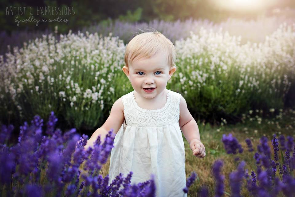 Serenity Lavender Farm景点图片