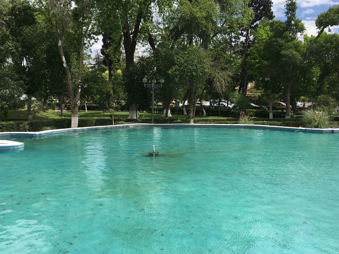 Alameda Zaragoza-萨尔蒂必去景点