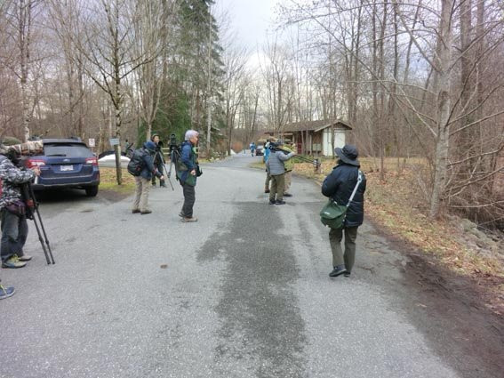 Maplewood Flats Conservation Area-北温哥华必去景点