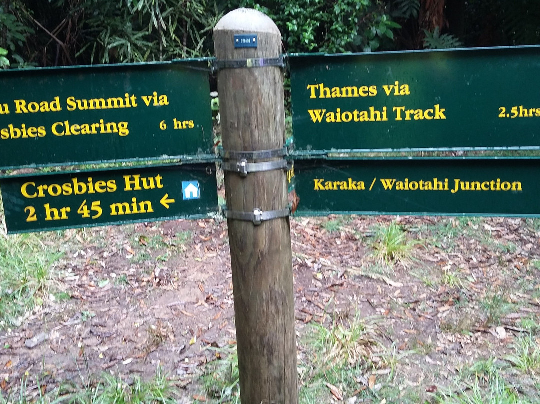 Karaka Waiotahi track景点图片