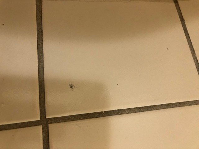 Days Inn By Wyndham Coliseum Montgomery AL主图