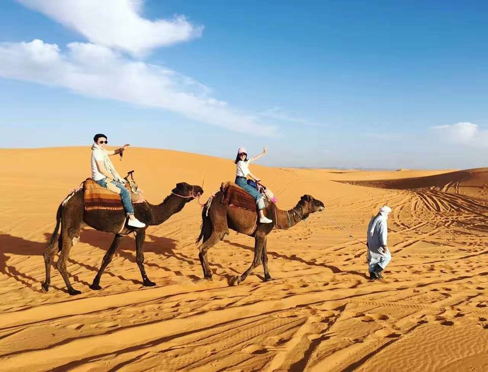 Camel Ride Trips景点图片