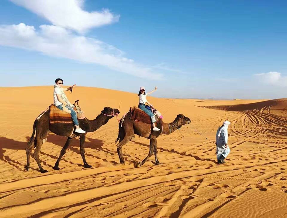 Camel Ride Trips-非斯必去景点