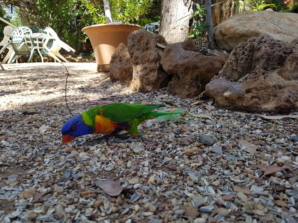 Pats Gems Tourist Fossicking Park