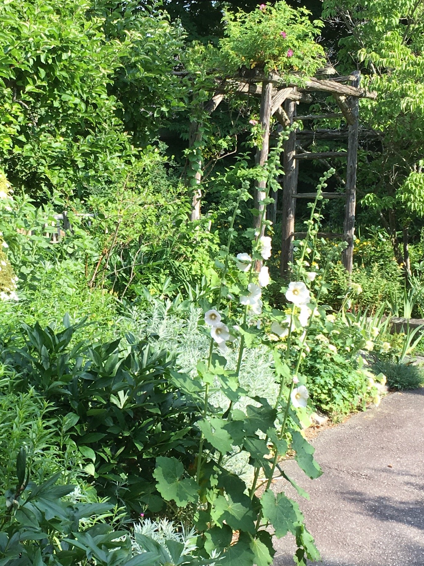 Marston House Wiscasset-官方
