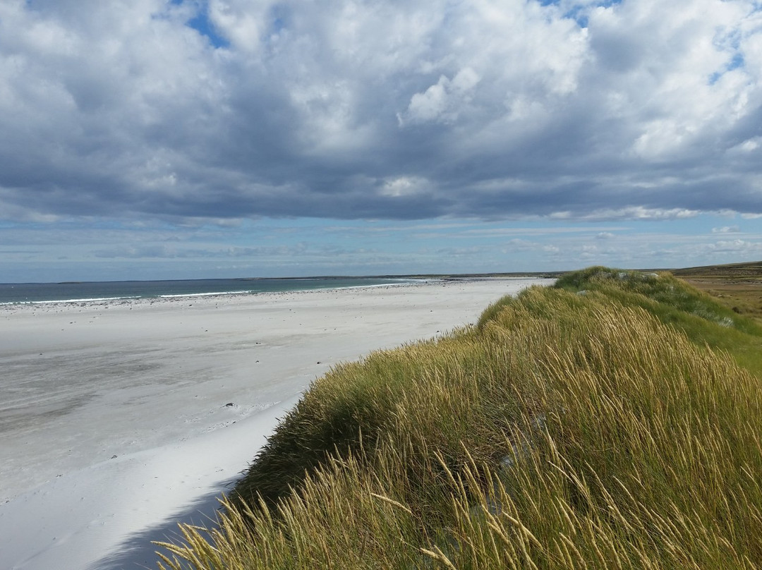 Mount Pleasant旅游攻略图片