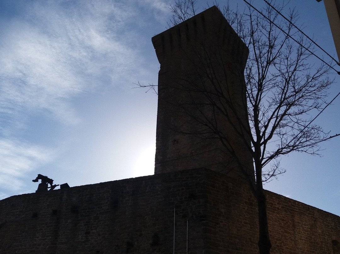 Castello di Teodorano景点图片