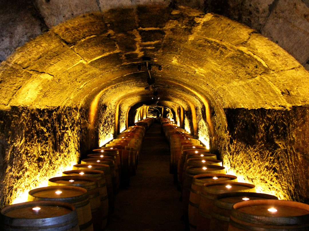 Del Dotto Vineyards & Winery-纳帕必去景点