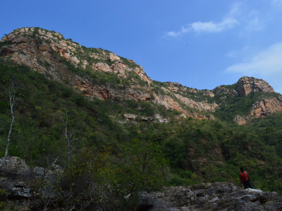 Nagalapuram Falls景点图片