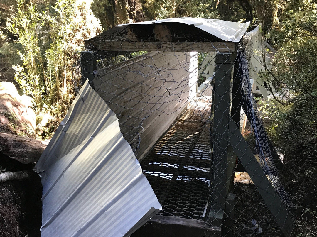 Bosque Encantado-Queulat National Park必去景点
