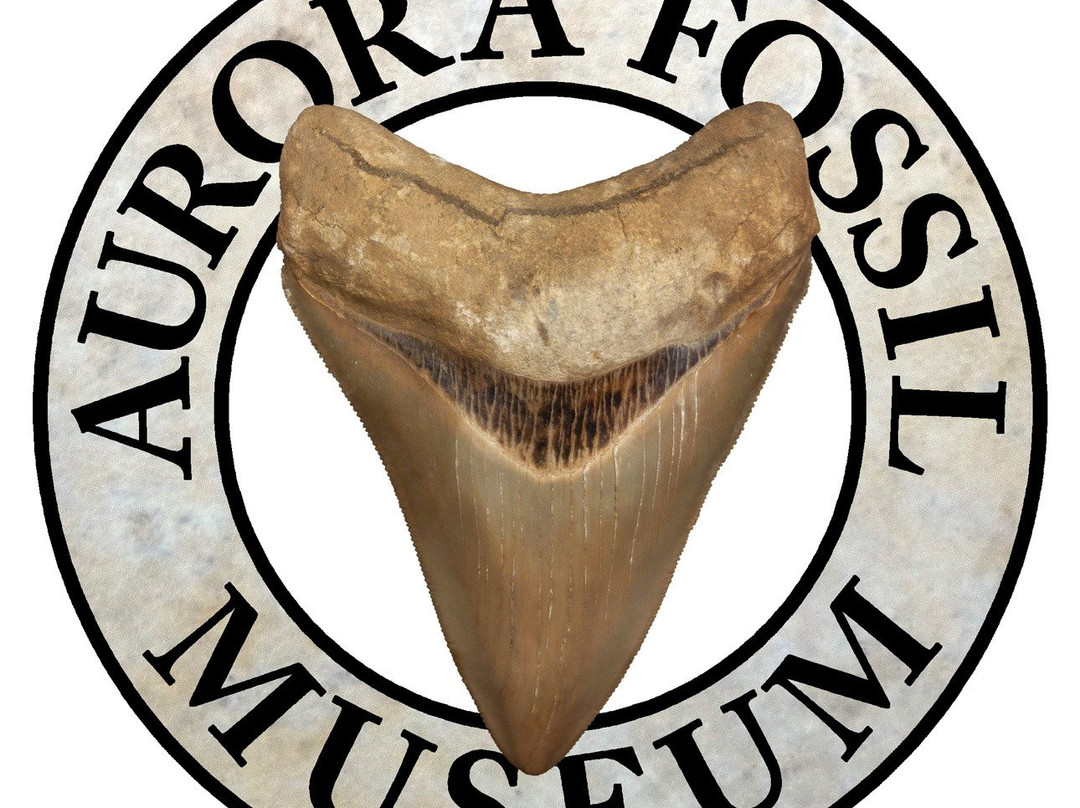 Aurora Fossil Museum景点图片
