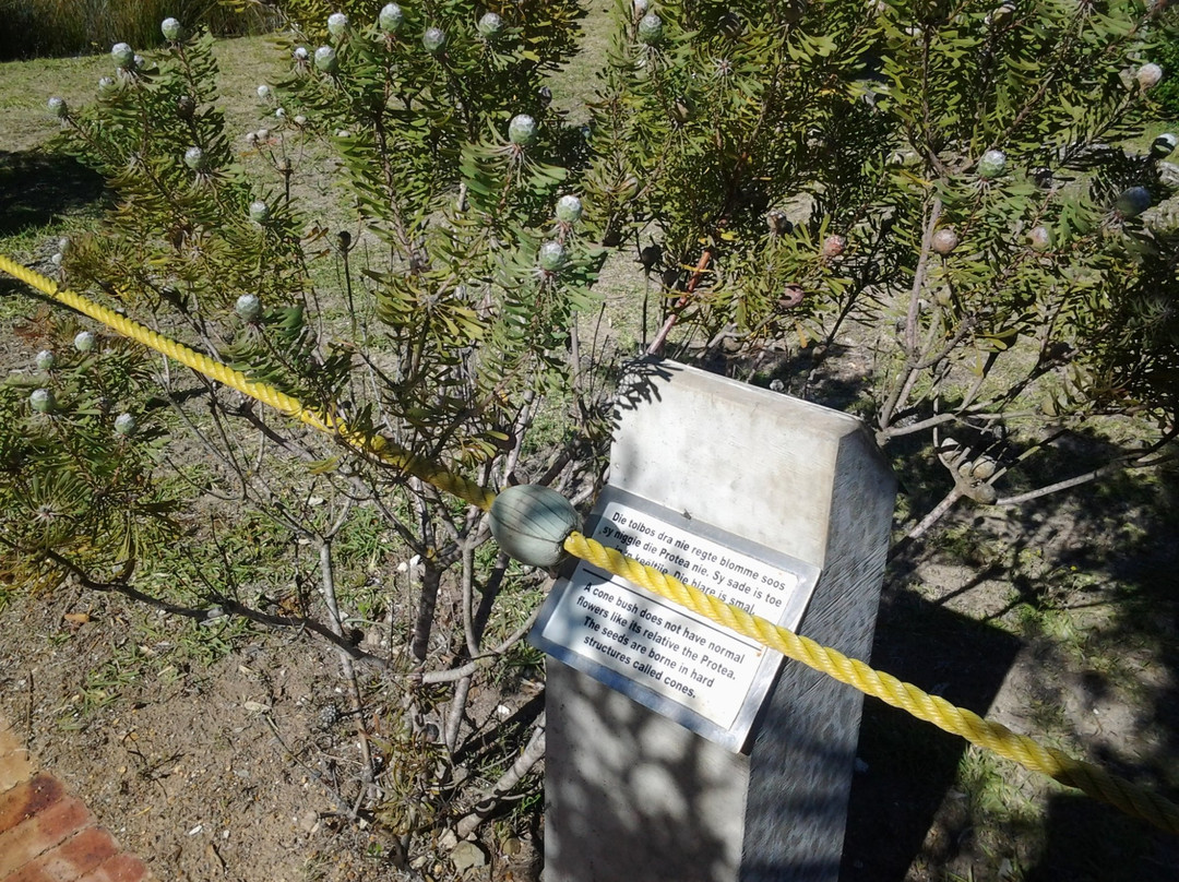 Tuin-op-die-Brak-斯特尔拜必去景点