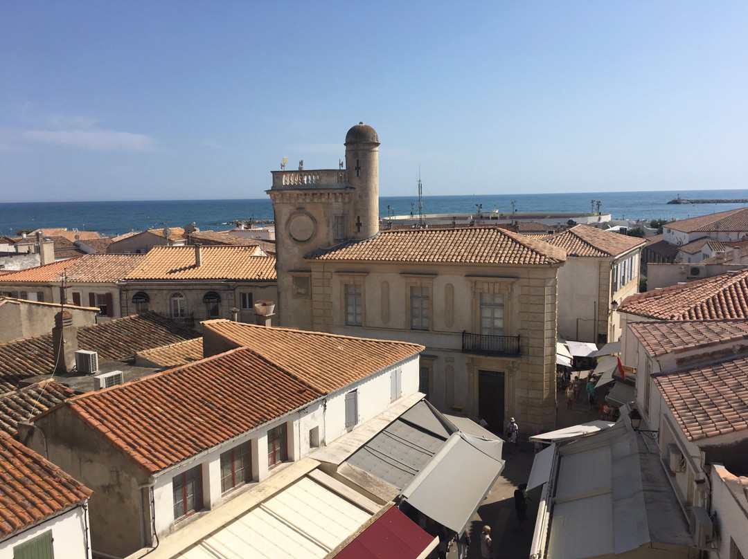 Musée Baroncelli-滨海圣玛丽必去景点