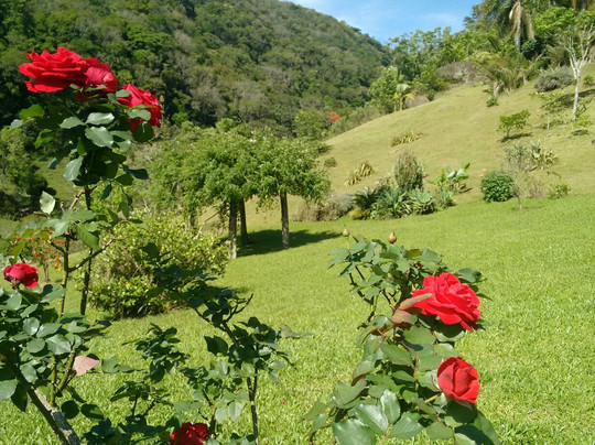 Nova Palma餐馆和美食-Rincao da Encantada