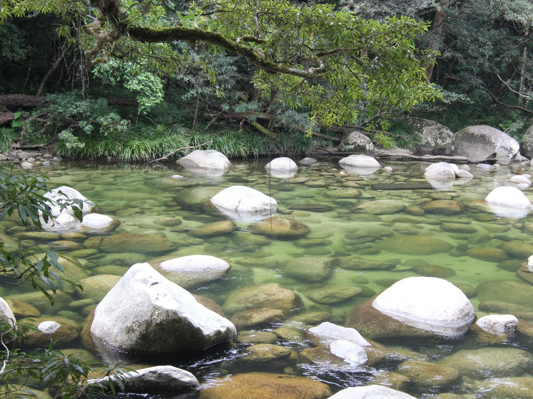 Daintree Mangroves Wildlife Sanctuary-Mossman必去景点