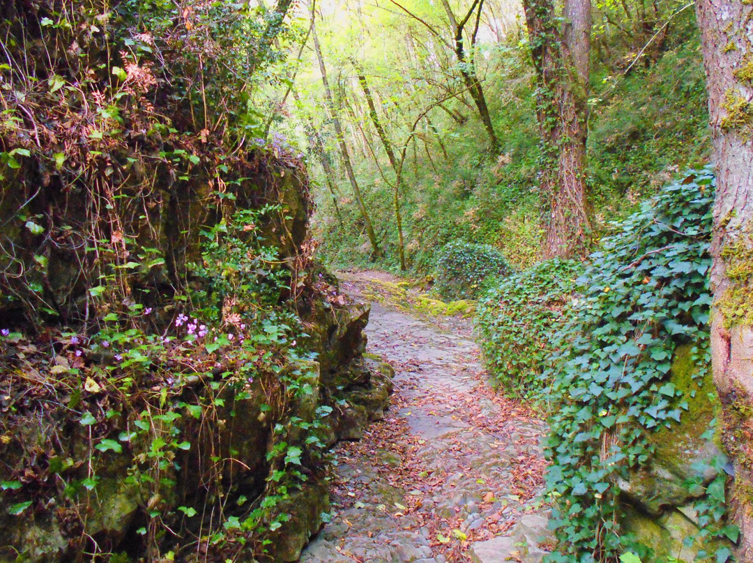 Savoia di Lucania旅游攻略图片