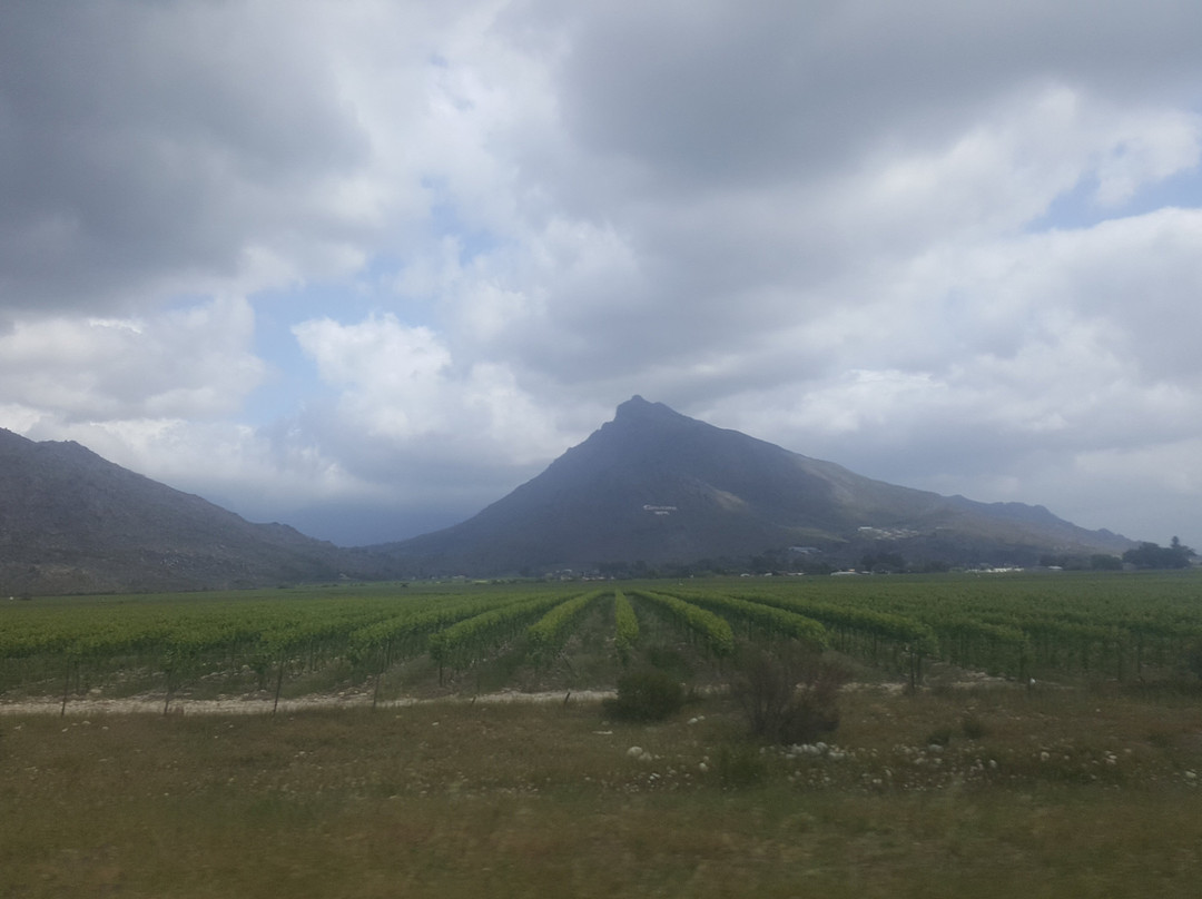 R 62 nel Klein Karoo-蒙提古必去景点