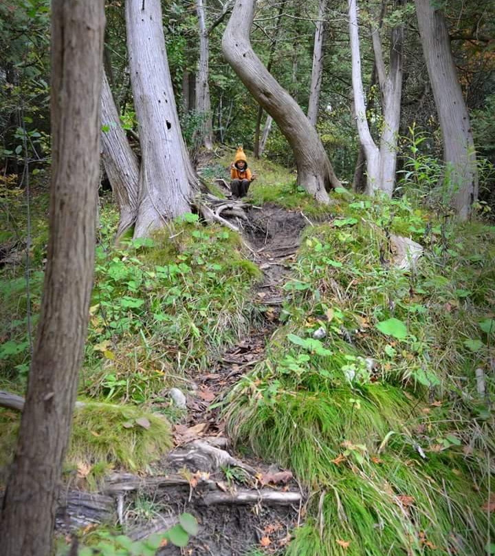 Komoka Provincial Park-伦敦必去景点