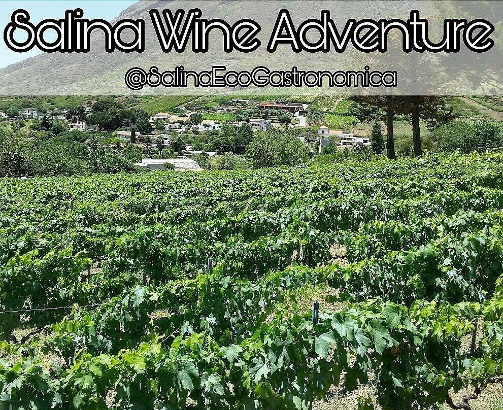 Salina EcoGastronomica-Isola di Salina必去景点