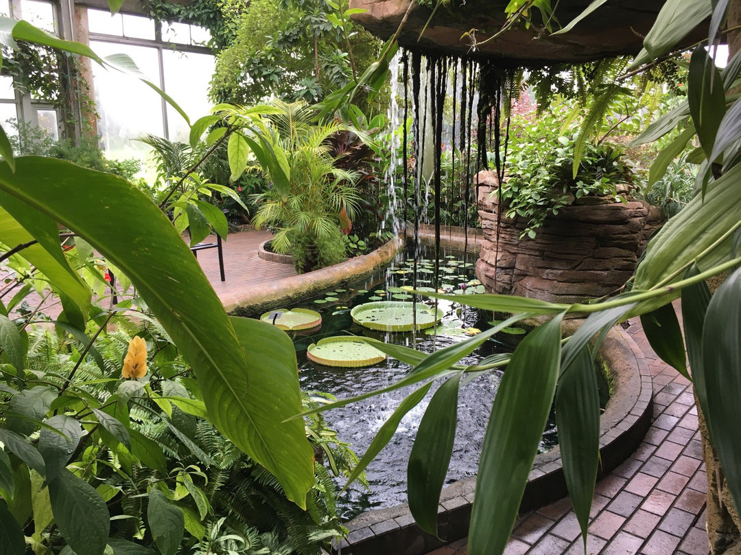 Garfield Park Conservatory & Sunken Garden-印第安纳波利斯必去景点
