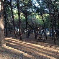 Karatas Tabiat Parki景点图片