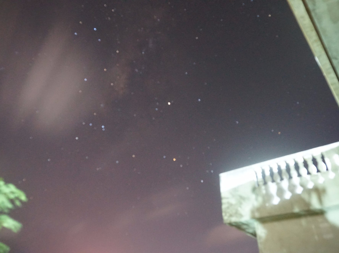 La Maison de la Joie主图