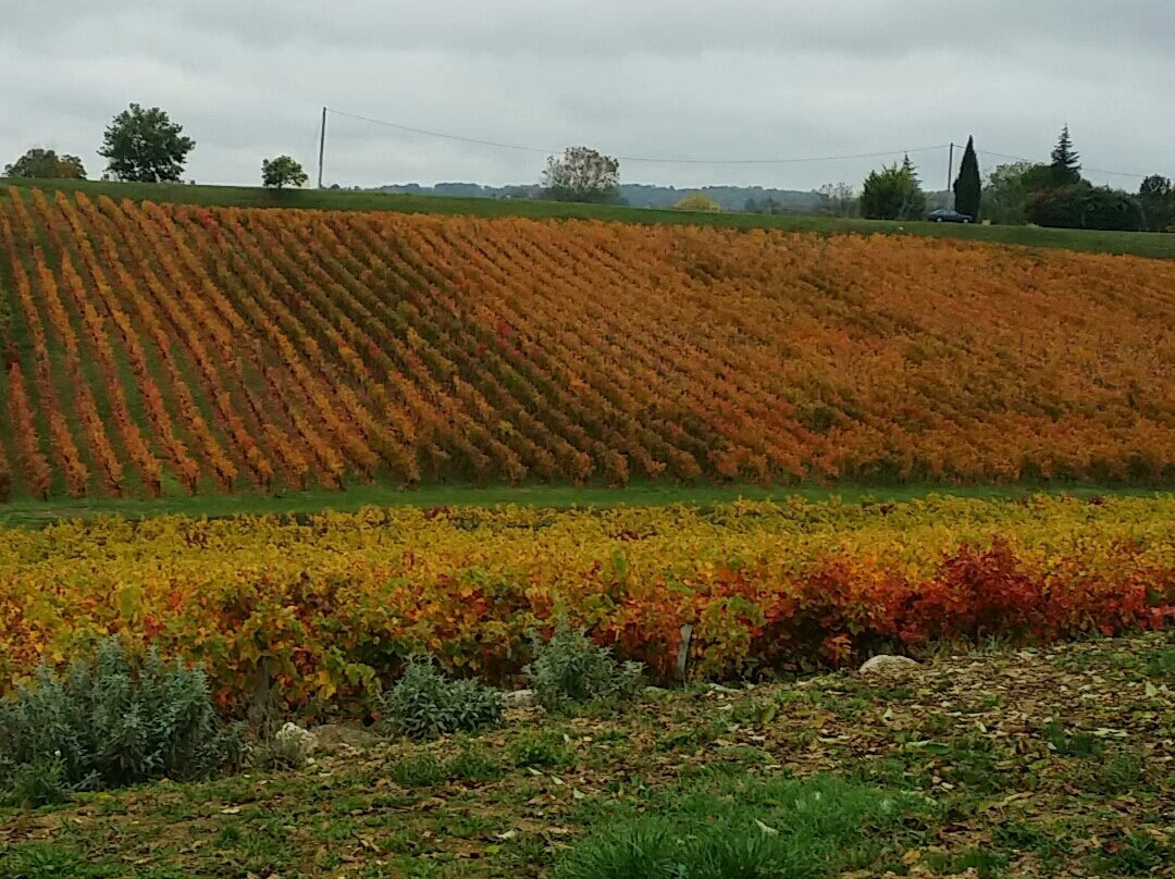 Domaine Vayssette-Gaillac必去景点