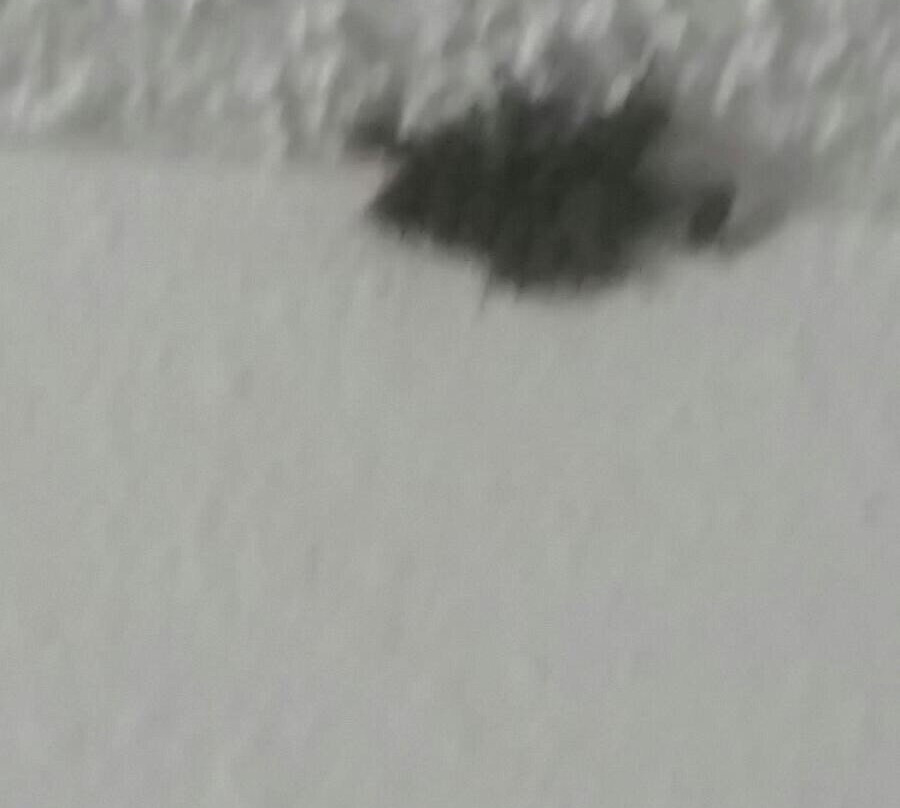 Moose Lake Lodge主图