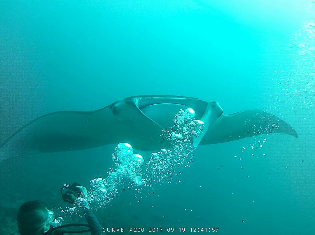 Serene Ocean-图杜岛必去景点