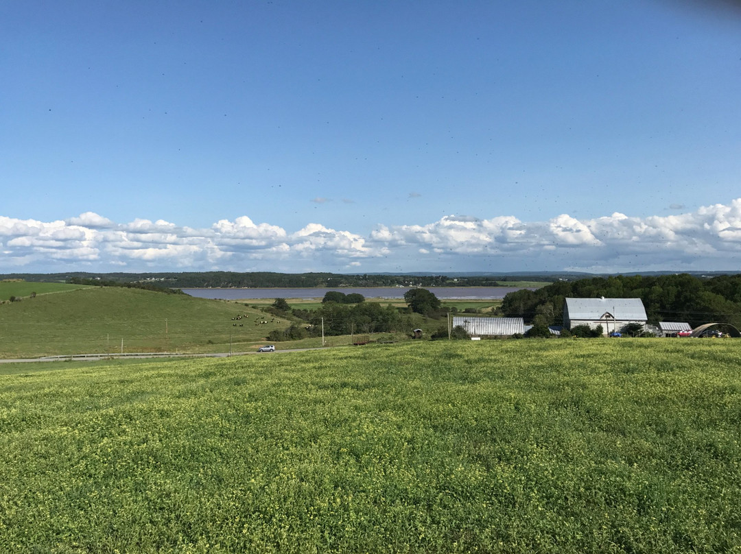 Dakeyne Farm-Falmouth必去景点