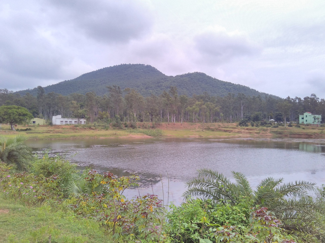 Susunia Hills景点图片
